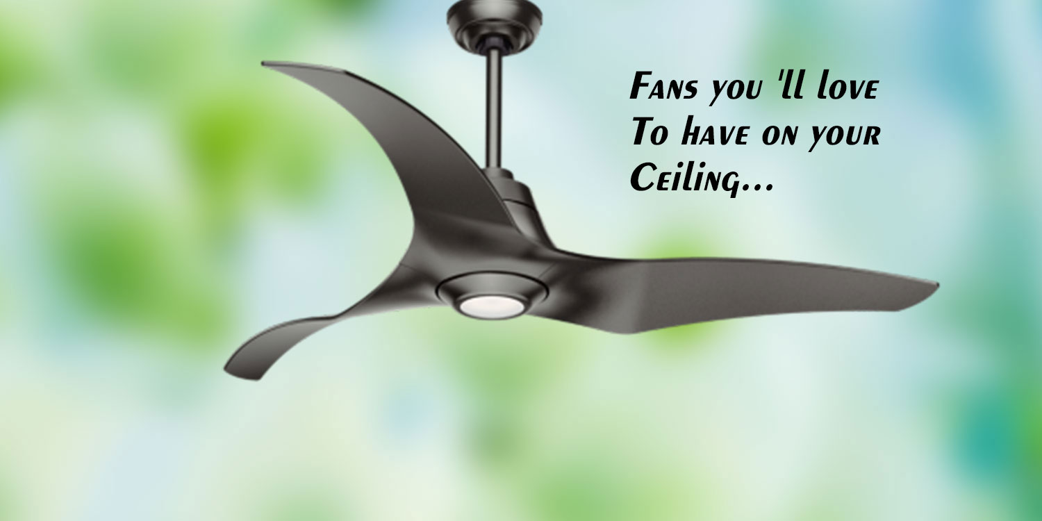 banner2